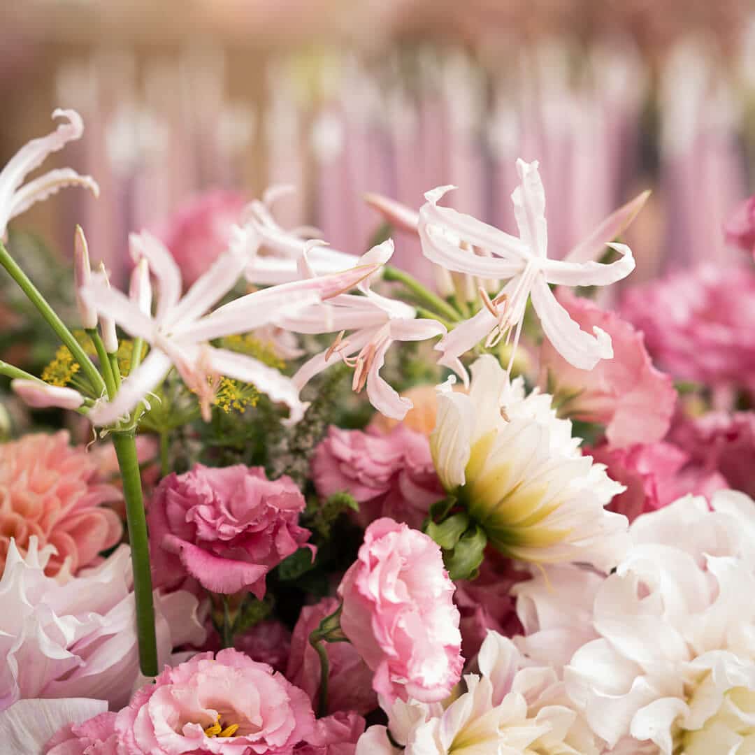 photographe bar mitzvah paris fleurs repas assis